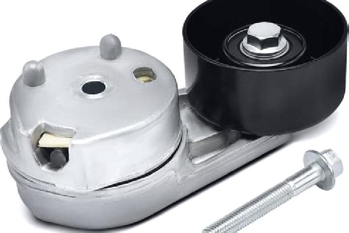 escort Pully