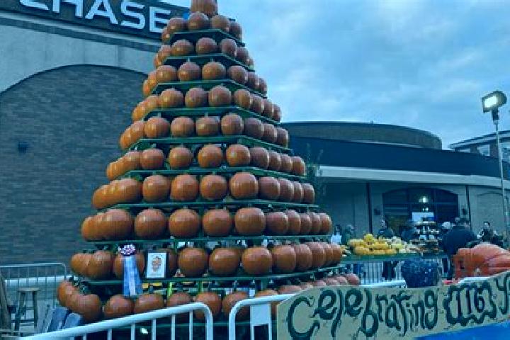 escort Pumpkin Center