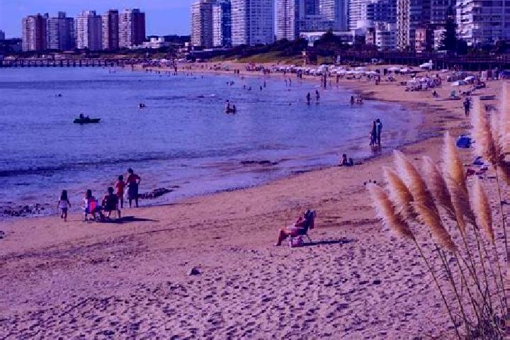 escort Punta del Este