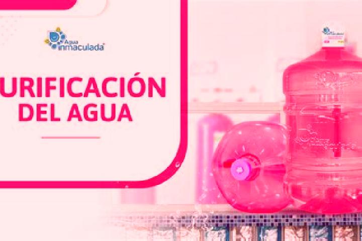 escort Purificacion