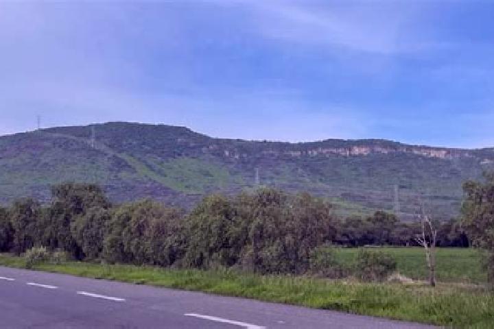 escort Purisima de Cerro Grande