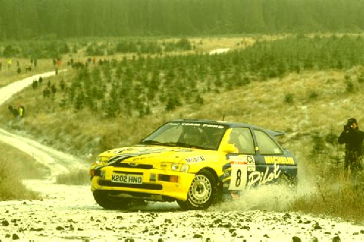escort Qillin