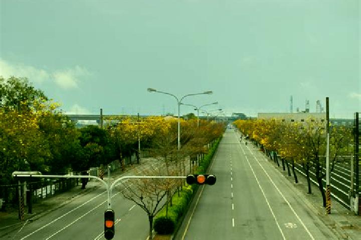 escort Qizhou