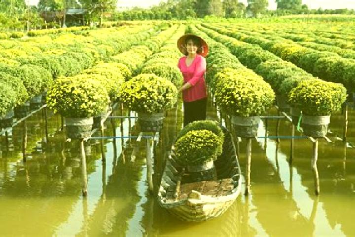 escort Quan Muoi