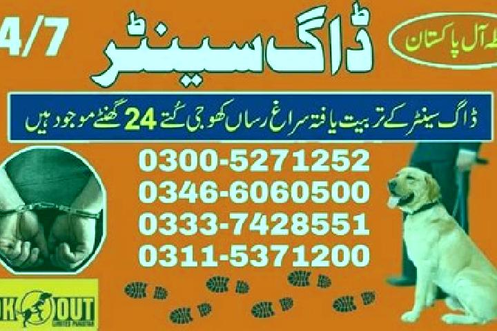 escort Qubo Saeed Khan