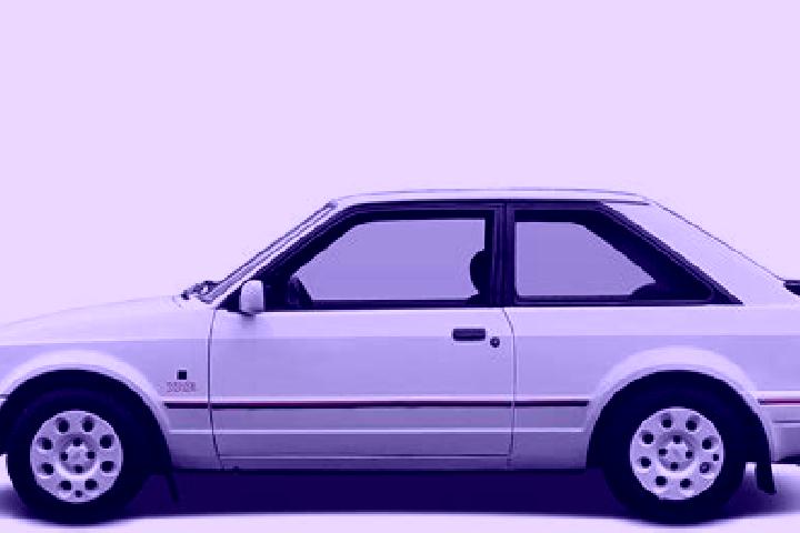 escort Radcha