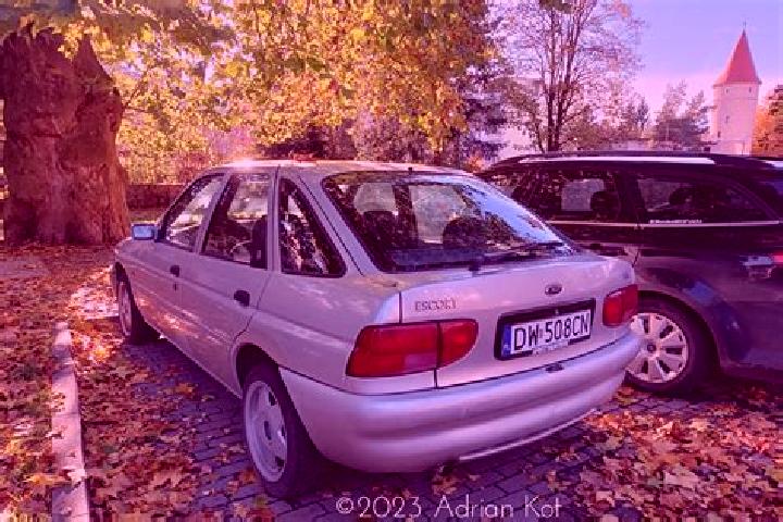 escort Radeni