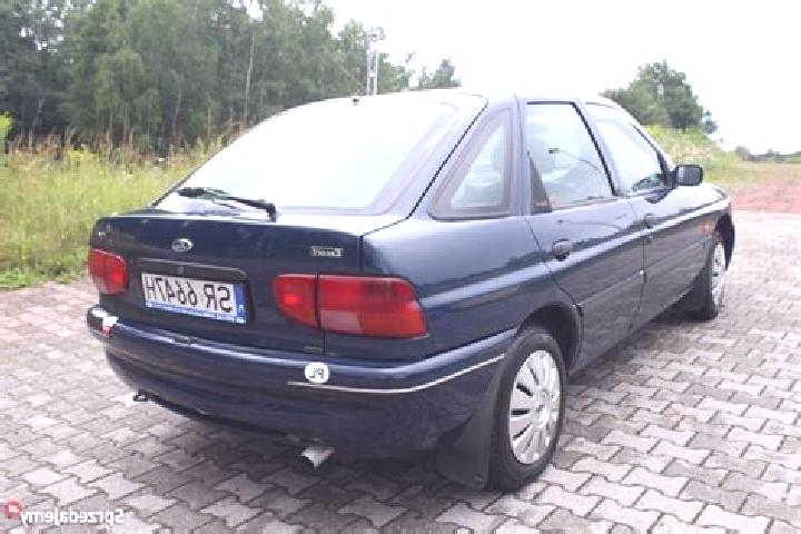 escort Radlin