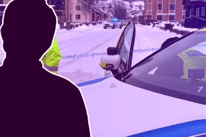 escort Raettvik