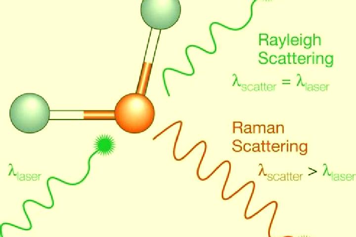 escort Raman