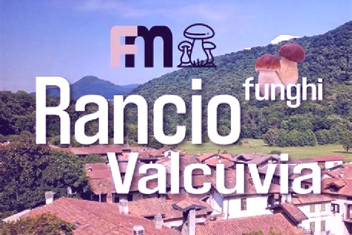 escort Rancio Valcuvia