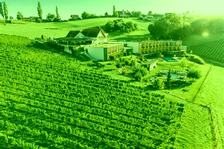 escort Ratsch an der Weinstrasse