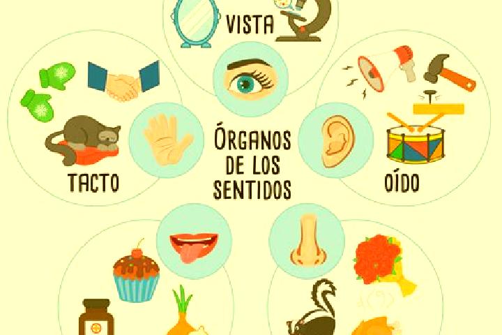 escort Razo del Organo (Veintiuno de Mayo)