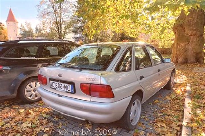 escort Rebola