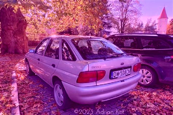 escort Reesdorf