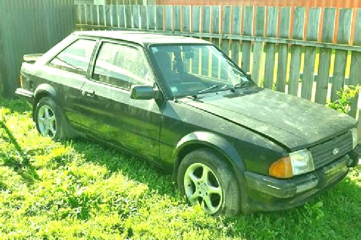 escort Rego