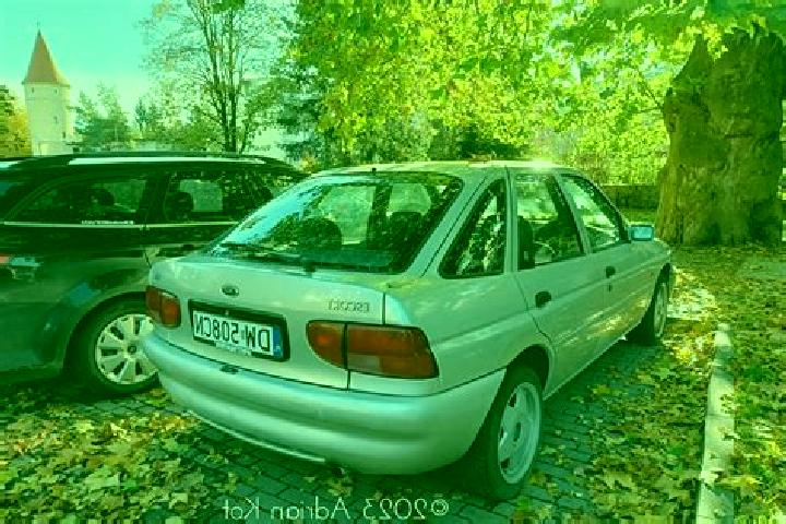 escort Rehhorst