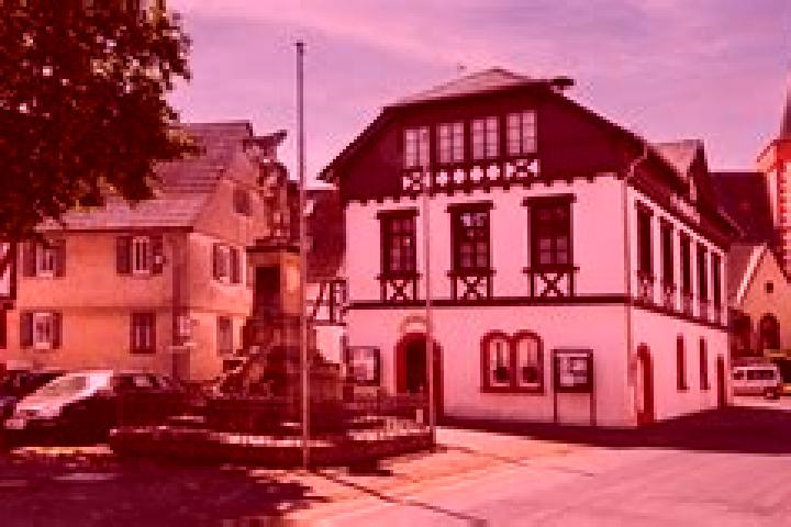 escort Reichelsheim