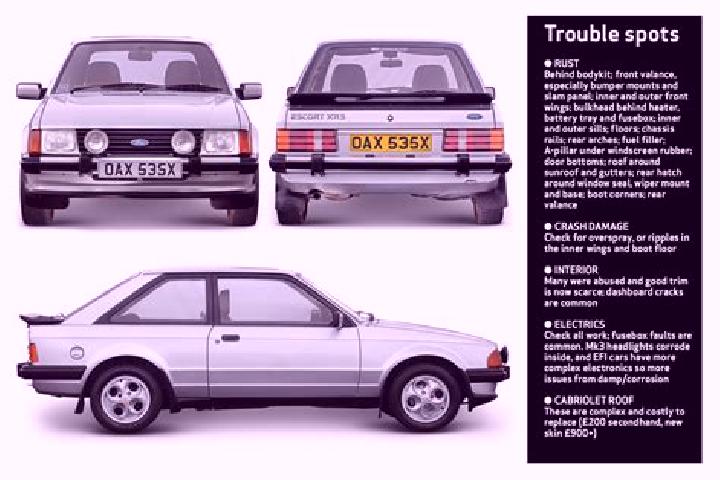 escort Renkenberge