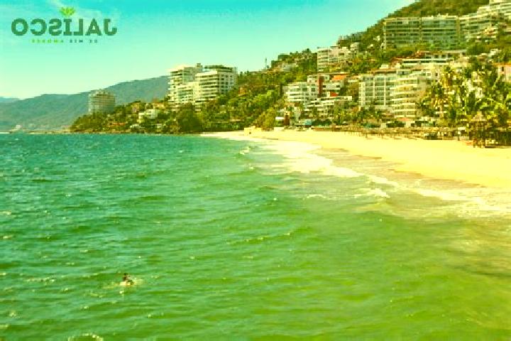 escort Reyes de Vallarta