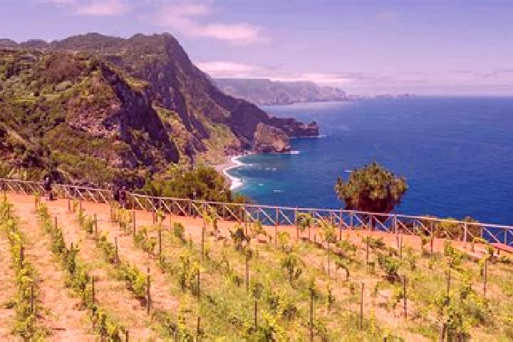 escort Ribeira da Vinha
