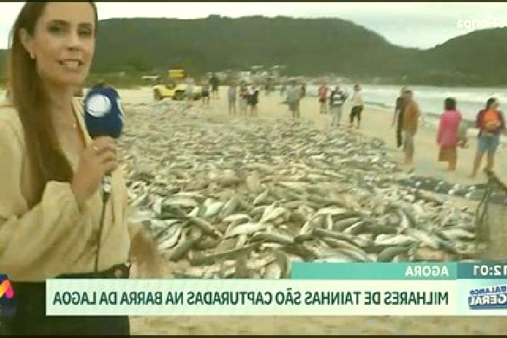 escort Ribeira das Tainhas