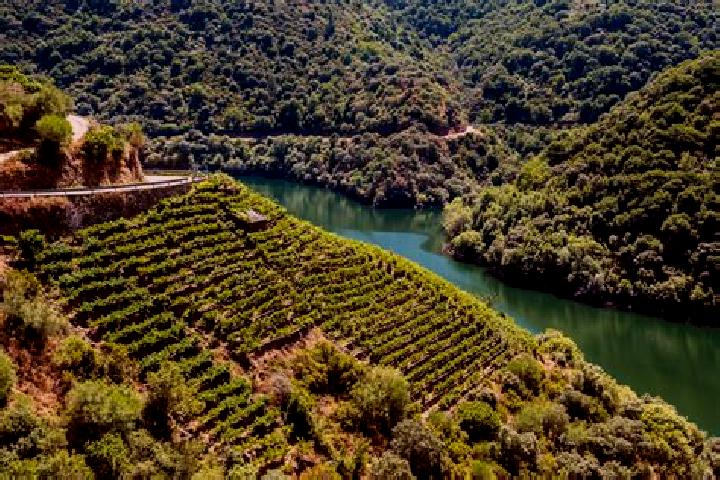 escort Ribeira de Passarao