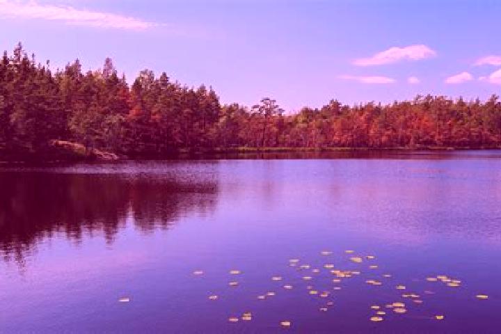 escort Rice Lake