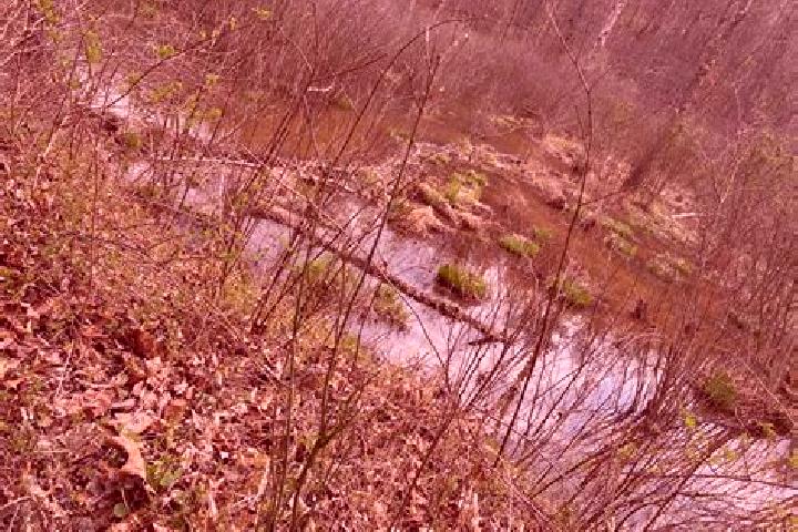 escort Rich Creek
