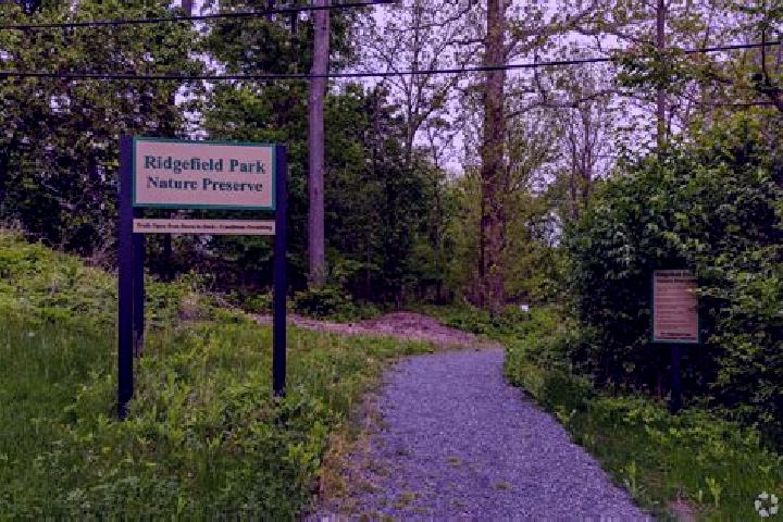 escort Ridgefield Park