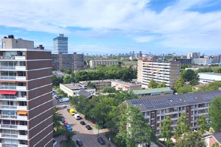 escort Rijswijk
