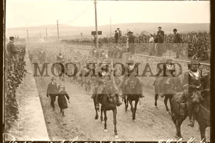 escort Rilly-la-Montagne