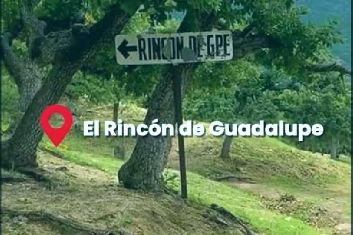 escort Rincon de Guadalupe