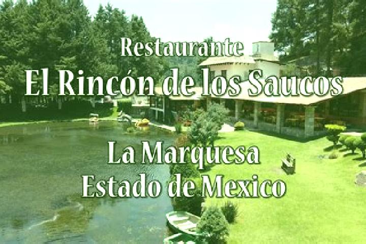 escort Rincon de los Reyes