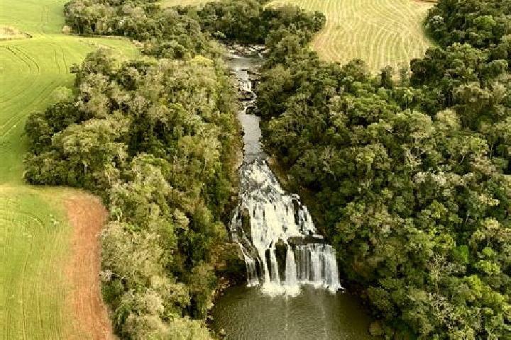 escort Rio Branco do Ivai