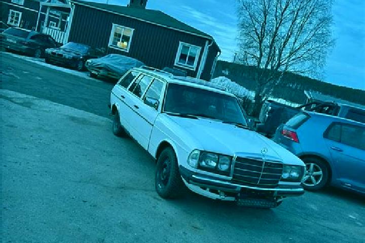 escort Risoegrund