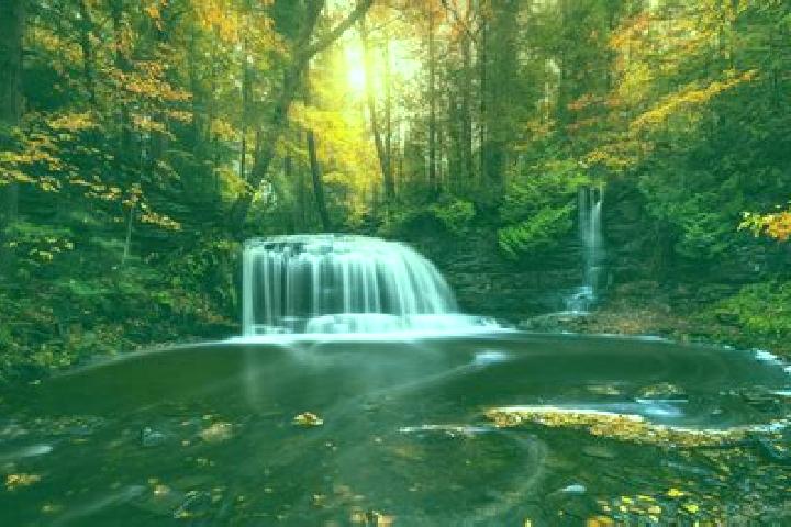 escort River Falls