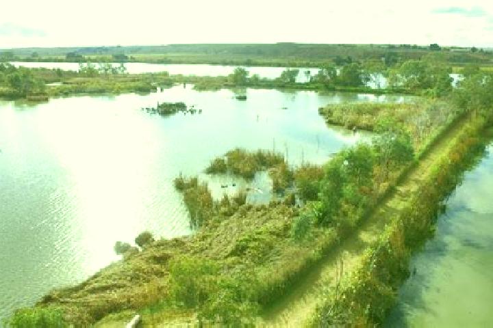 escort Riverglades