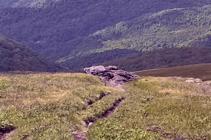 escort Roan Mountain