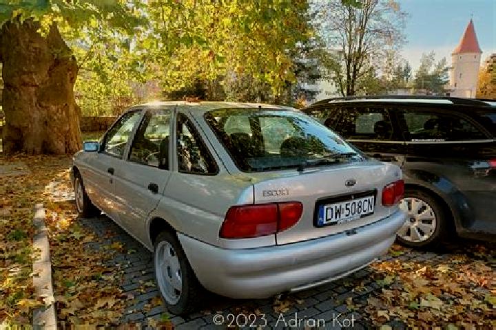 escort Rocevnica