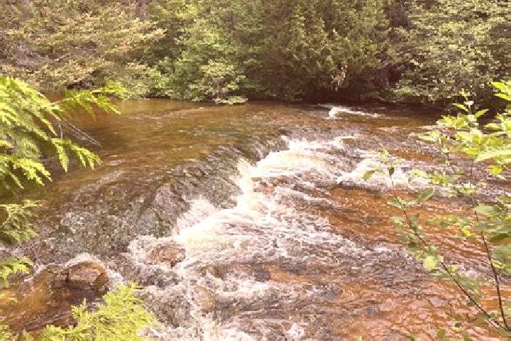 escort Rock Rapids