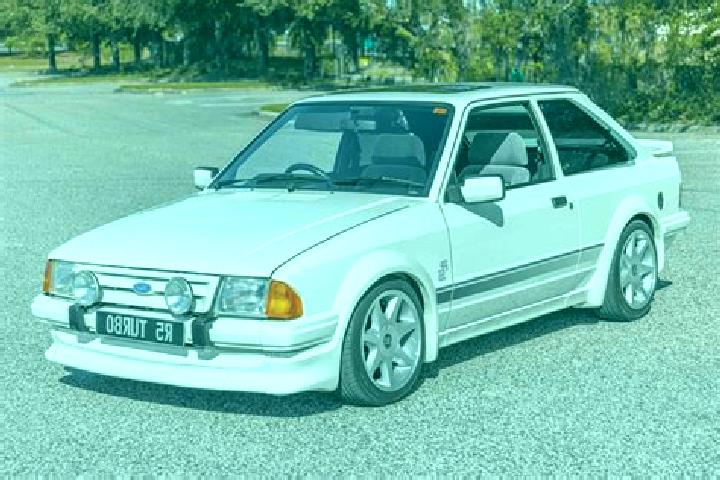 escort Rodenas