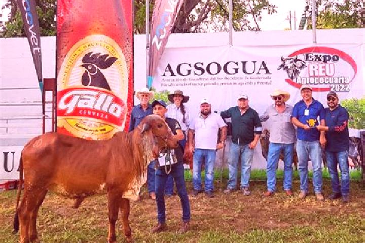 escort Rodeo Arroyo Pepesca