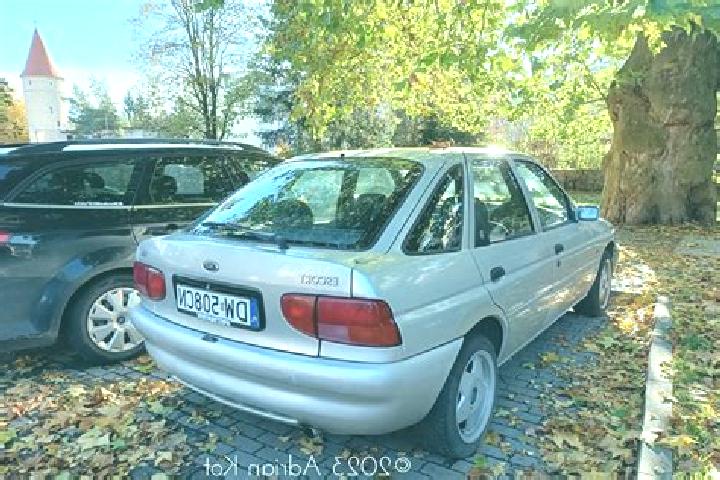 escort Rodinghausen