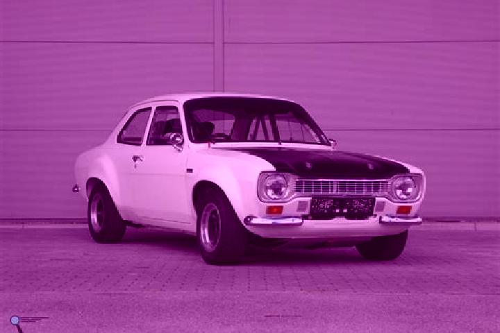 escort Rogolo
