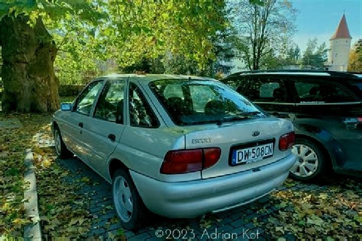 escort Roldan