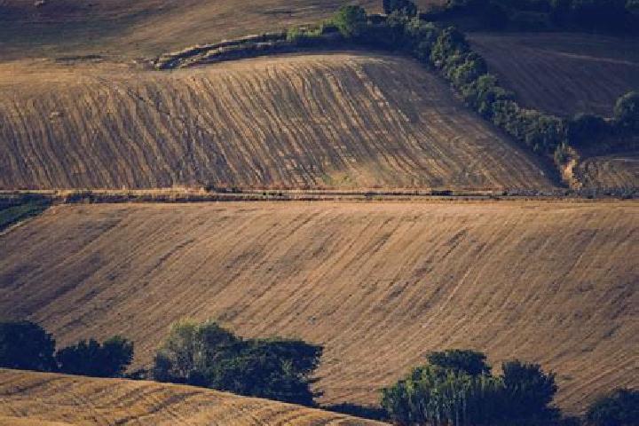 escort Rolling Fields