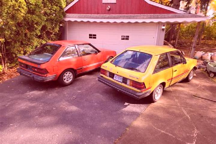 escort Rollingwood