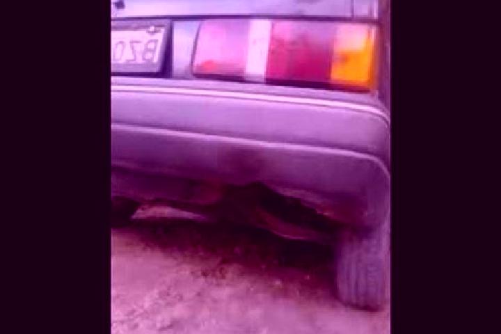 escort Ronco