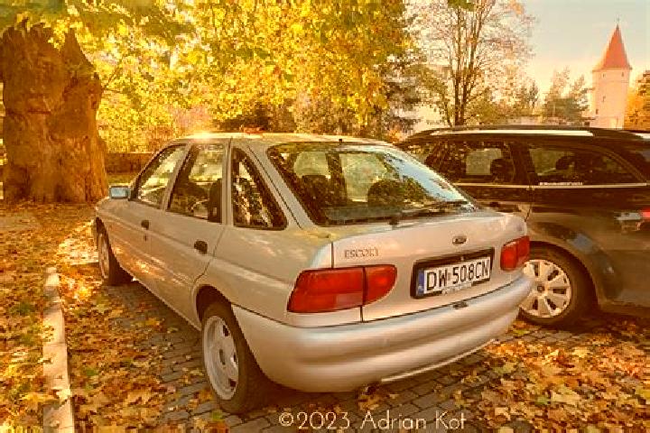 escort Ropczyce